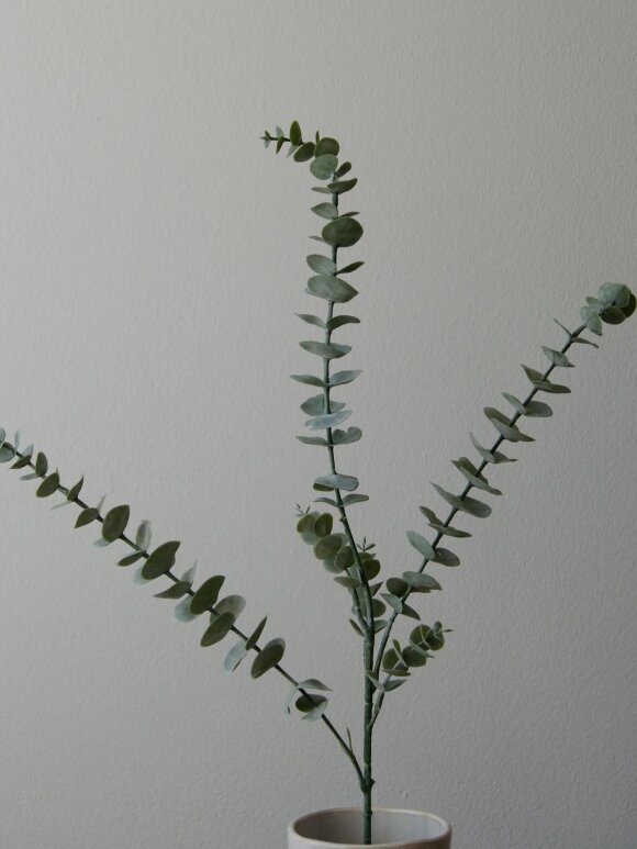 DIVERSE LEVERANDØR - Eucalyptus Five Leaves 74 cm