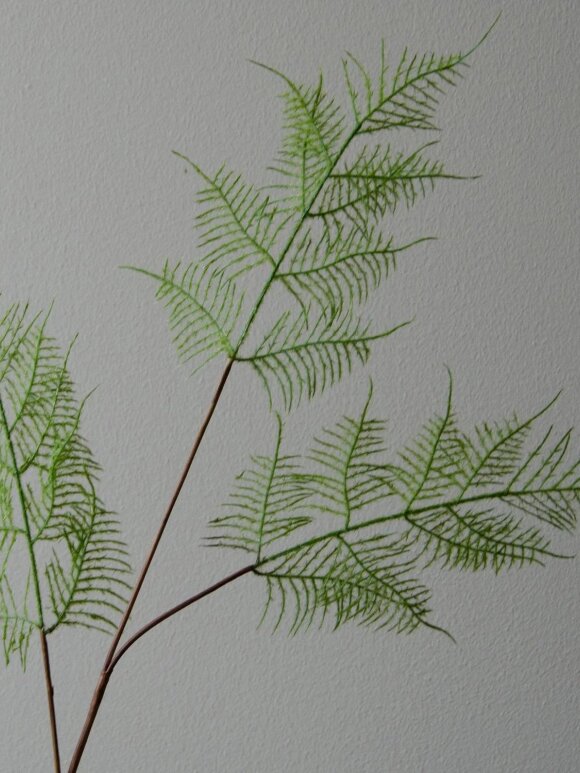 DIVERSE LEVERANDØR - Fern Leaves 85 cm