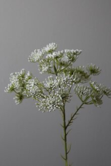 DIVERSE LEVERANDØR - Queen Anne's Lace Flower 64 cm