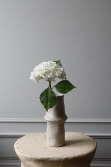 DIVERSE LEVERANDØR - Hydrangea Flower White