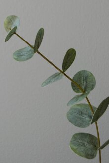 DIVERSE LEVERANDØR - Small Eucalyptus Leaves Green